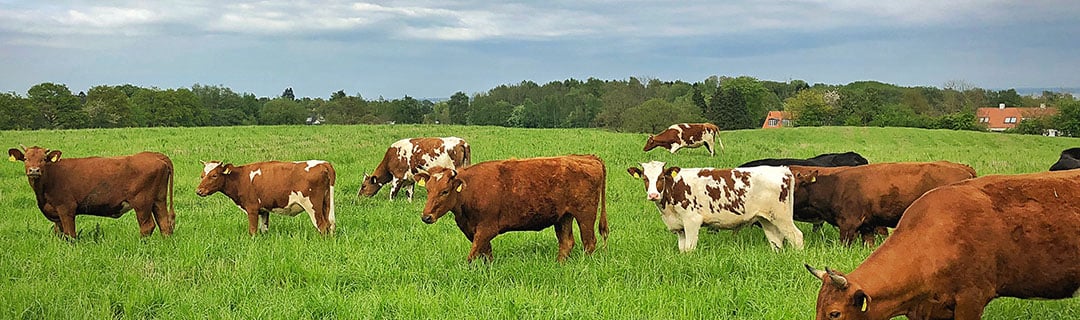 Zoning and compliance